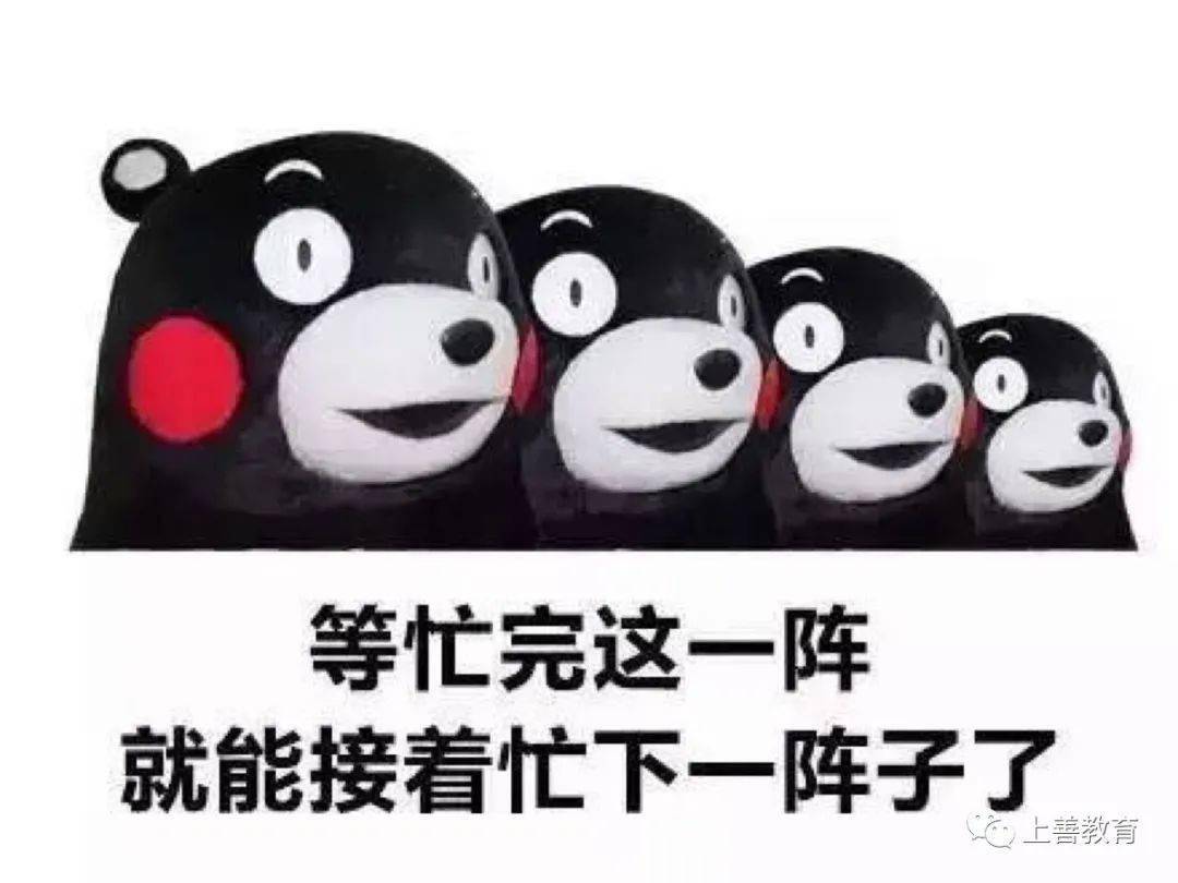警觉:今晚澳门特马开一肖,警惕虚假宣传、全面解答与解释
