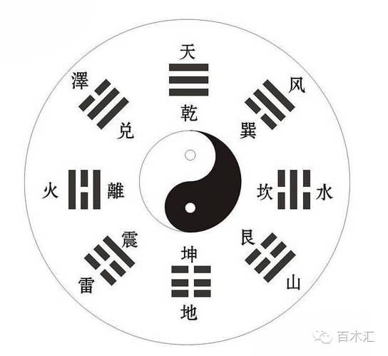 揭盖子:黄大仙三肖三码必中,精选解析、解释与落实